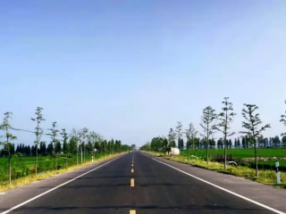 临泉邢塘至杨桥道路建设工程
