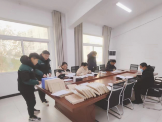 公司第四次项目检查圆满结束